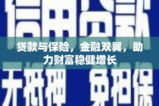 台东贷款与保险，金融双翼，助力财富稳健增长