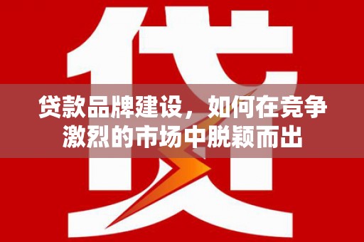 台东贷款品牌建设，如何在竞争激烈的市场中脱颖而出