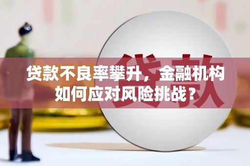 台东贷款不良率攀升，金融机构如何应对风险挑战？