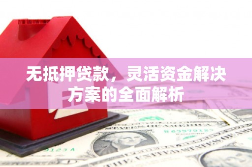 台东无抵押贷款，灵活资金解决方案的全面解析