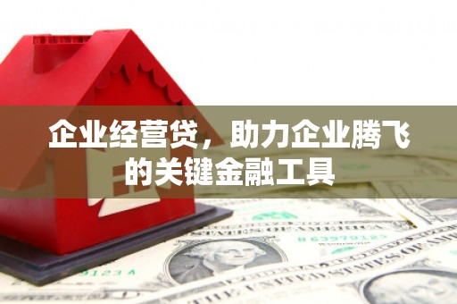 台东企业经营贷，助力企业腾飞的关键金融工具