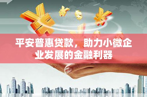 台东平安普惠贷款，助力小微企业发展的金融利器