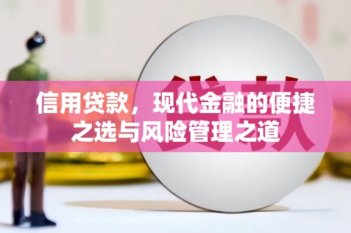 台东信用贷款，现代金融的便捷之选与风险管理之道