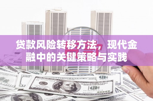 台东贷款风险转移方法，现代金融中的关键策略与实践
