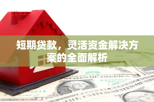 台东短期贷款，灵活资金解决方案的全面解析