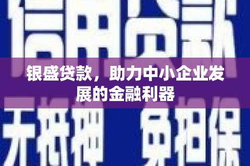 台东银盛贷款，助力中小企业发展的金融利器