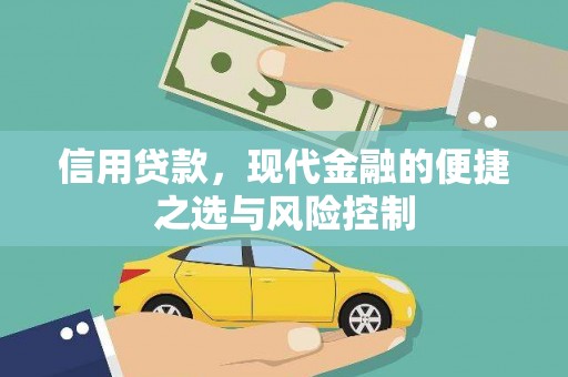 台东信用贷款，现代金融的便捷之选与风险控制