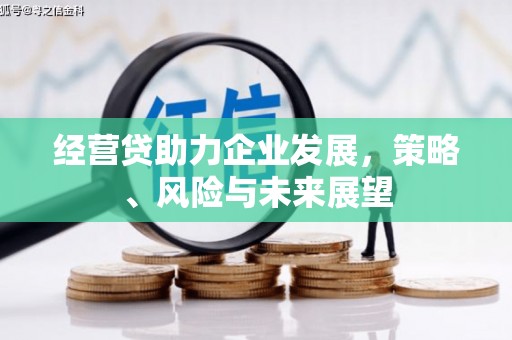 台东经营贷助力企业发展，策略、风险与未来展望