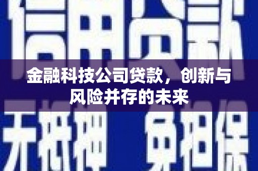 台东金融科技公司贷款，创新与风险并存的未来