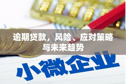 台东逾期贷款，风险、应对策略与未来趋势