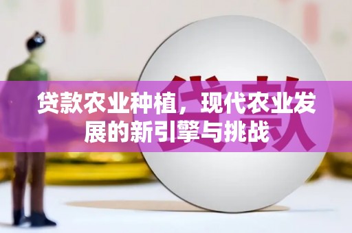 台东贷款农业种植，现代农业发展的新引擎与挑战