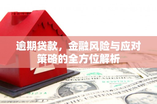 台东逾期贷款，金融风险与应对策略的全方位解析