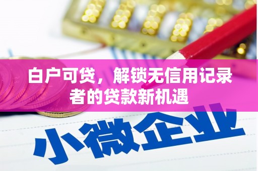 台东白户可贷，解锁无信用记录者的贷款新机遇