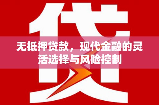 台东无抵押贷款，现代金融的灵活选择与风险控制
