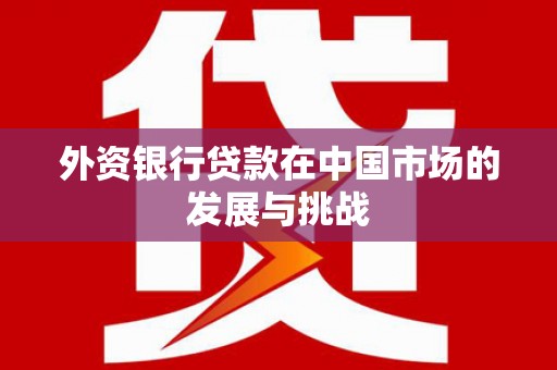 台东外资银行贷款在中国市场的发展与挑战