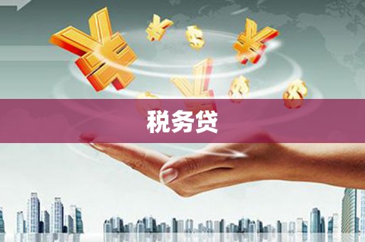 台东税务贷