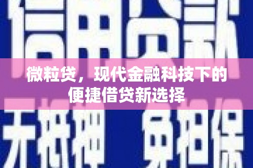 台东微粒贷，现代金融科技下的便捷借贷新选择