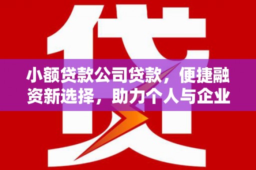 台东小额贷款公司贷款，便捷融资新选择，助力个人与企业成长
