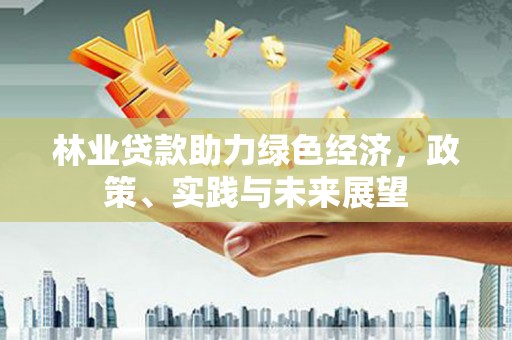 台东林业贷款助力绿色经济，政策、实践与未来展望
