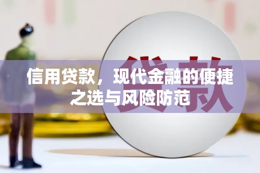 台东信用贷款，现代金融的便捷之选与风险防范