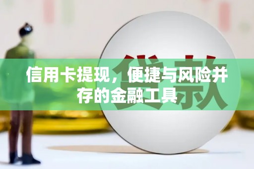 台东信用卡提现，便捷与风险并存的金融工具