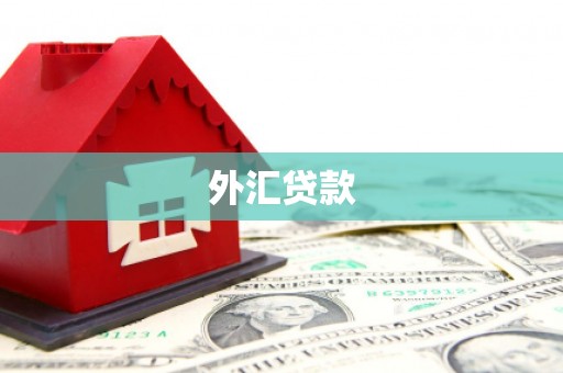 台东外汇贷款