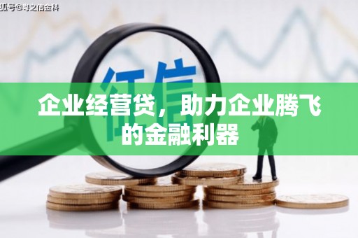 台东企业经营贷，助力企业腾飞的金融利器