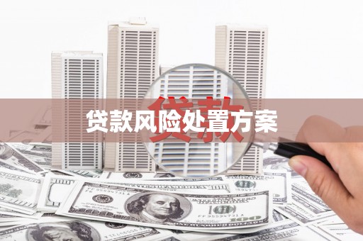 台东贷款风险处置方案