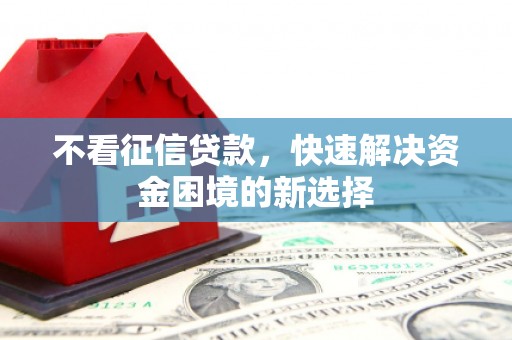 台东不看征信贷款，快速解决资金困境的新选择