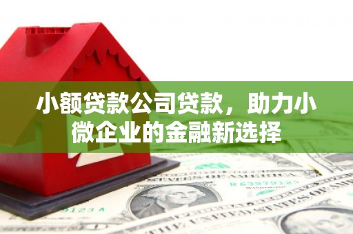 台东小额贷款公司贷款，助力小微企业的金融新选择