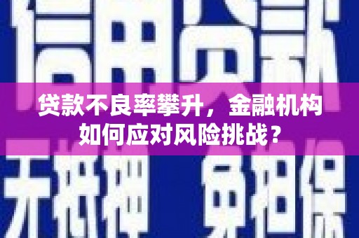 台东贷款不良率攀升，金融机构如何应对风险挑战？