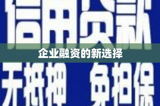 台东企业融资的新选择