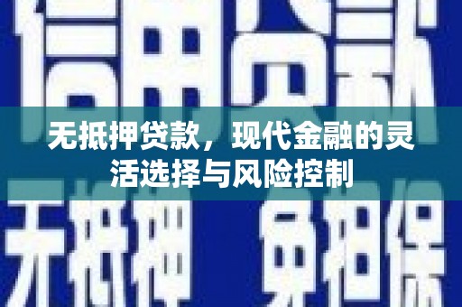台东无抵押贷款，现代金融的灵活选择与风险控制
