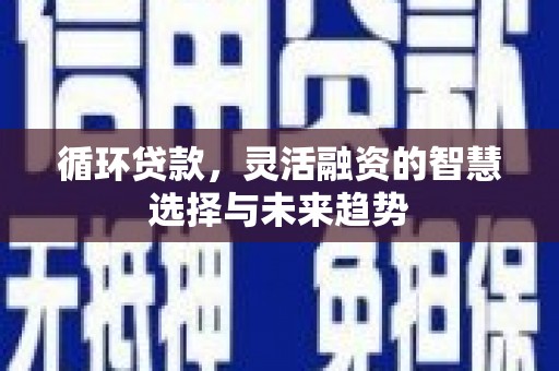 台东循环贷款，灵活融资的智慧选择与未来趋势