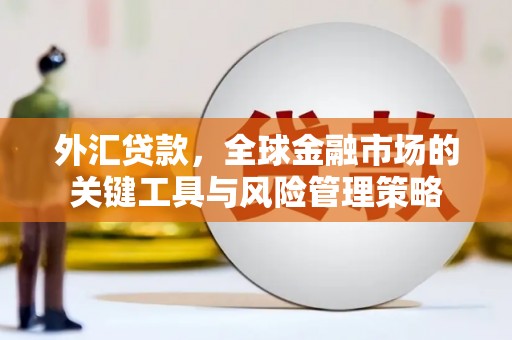 台东外汇贷款，全球金融市场的关键工具与风险管理策略