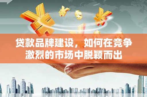台东贷款品牌建设，如何在竞争激烈的市场中脱颖而出