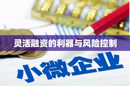 台东灵活融资的利器与风险控制