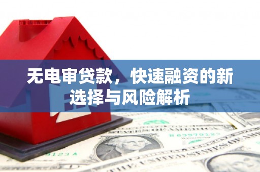 台东无电审贷款，快速融资的新选择与风险解析
