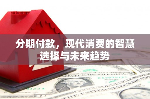 台东分期付款，现代消费的智慧选择与未来趋势