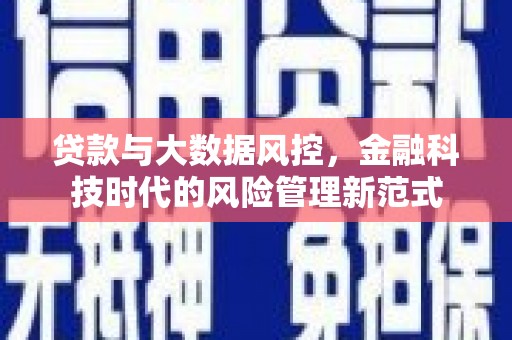 台东贷款与大数据风控，金融科技时代的风险管理新范式
