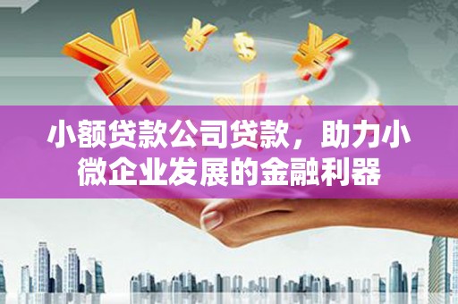 台东小额贷款公司贷款，助力小微企业发展的金融利器