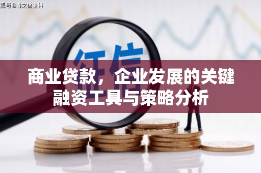 台东商业贷款，企业发展的关键融资工具与策略分析