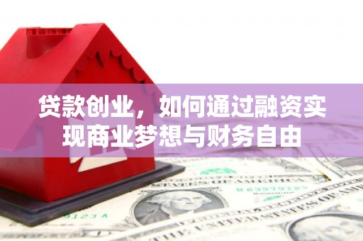 台东贷款创业，如何通过融资实现商业梦想与财务自由
