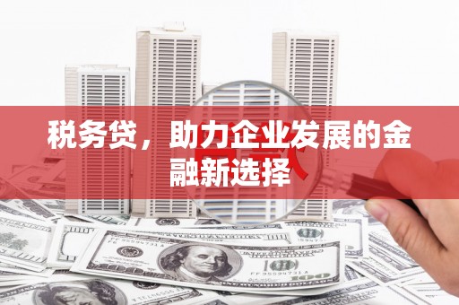台东税务贷，助力企业发展的金融新选择