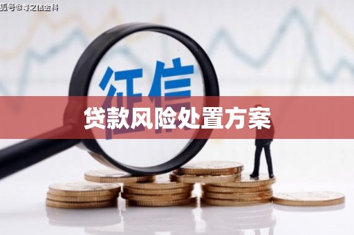 台东贷款风险处置方案