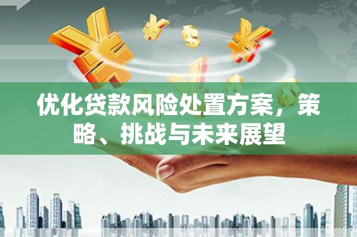 台东优化贷款风险处置方案，策略、挑战与未来展望