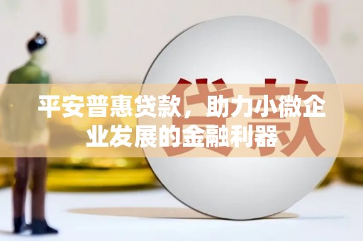 台东平安普惠贷款，助力小微企业发展的金融利器