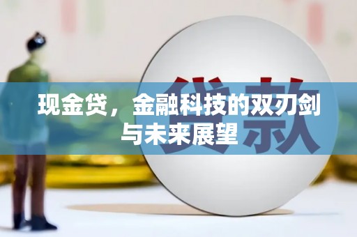 台东现金贷，金融科技的双刃剑与未来展望