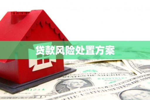 台东贷款风险处置方案