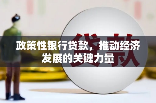 台东政策性银行贷款，推动经济发展的关键力量
